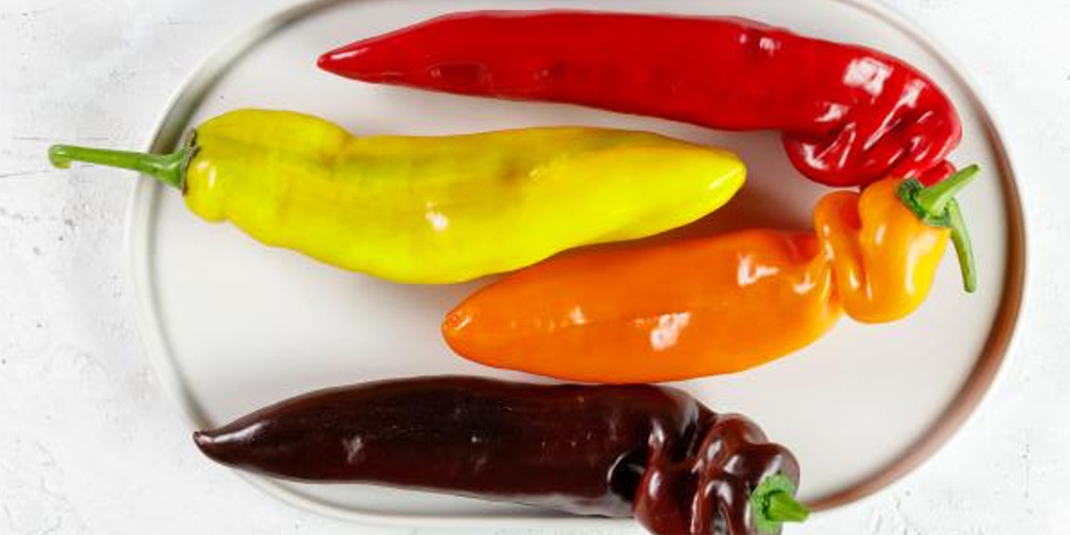 AgriPeppe a due velocità: pomodoro tra alti e bassi, partenza sprint per il peperone Sweet Palermo